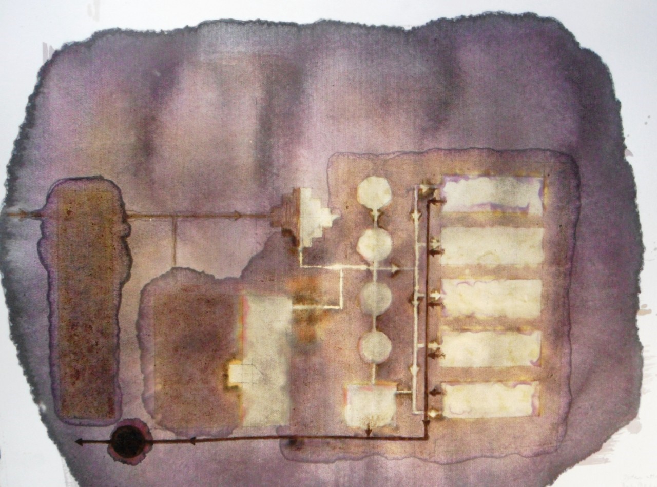 Ink and bleach drawing by Helen Scalway, seeking to make biosecurity issues visible
